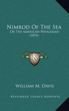 Nimrod of the Sea: Or the American Whaleman (1874)