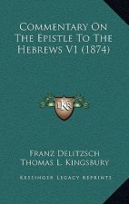Commentary on the Epistle to the Hebrews V1 (1874)