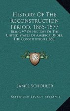 History Of The Reconstruction Period, 1865-1877: Being V7 Of History Of The United States Of America Under The Constitution (1880)