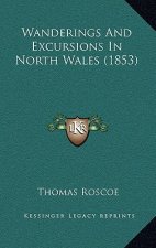 Wanderings And Excursions In North Wales (1853)