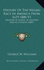 History Of The Negro Race In America From 1619-1880 V1: Negroes As Slaves, As Soldiers And As Citizens (1885)