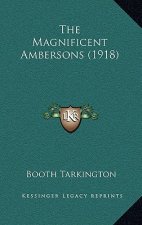 The Magnificent Ambersons (1918)