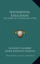 Sentimental Education: The Story of a Young Man (1922)