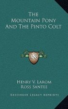 The Mountain Pony and the Pinto Colt