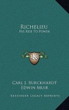 Richelieu: His Rise to Power