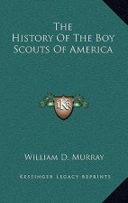 The History Of The Boy Scouts Of America