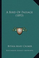 A Bird of Passage (1893)