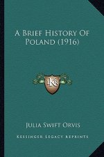 A Brief History Of Poland (1916)