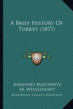 A Brief History Of Turkey (1877)
