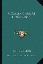 A Campaigner at Home (1865)