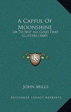 A Capful of Moonshine: Or Tis Not All Gold That Glitters (1849)