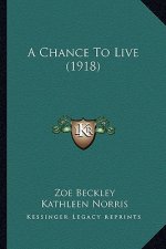 A Chance To Live (1918)