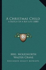 A Christmas Child: A Sketch of a Boy Life (1880)