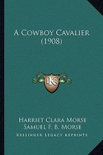 A Cowboy Cavalier (1908)