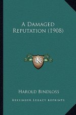 A Damaged Reputation (1908)