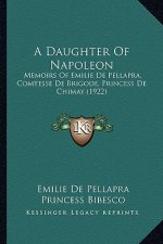 A Daughter of Napoleon: Memoirs of Emilie de Pellapra, Comtesse de Brigode, Princess de Chimay (1922)