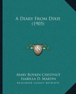 A Diary from Dixie (1905)