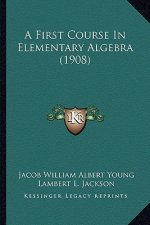 A First Course in Elementary Algebra (1908)