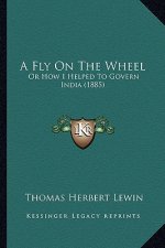 A Fly on the Wheel: Or How I Helped to Govern India (1885)