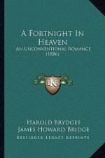 A Fortnight in Heaven: An Unconventional Romance (1886)