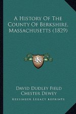 A History Of The County Of Berkshire, Massachusetts (1829)