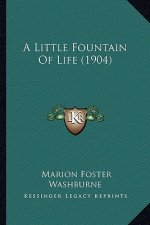 A Little Fountain of Life (1904)