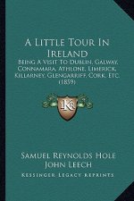 A Little Tour in Ireland: Being a Visit to Dublin, Galway, Connamara, Athlone, Limerick, Killarney, Glengarriff, Cork, Etc. (1859)