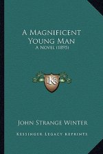A Magnificent Young Man: A Novel (1895)