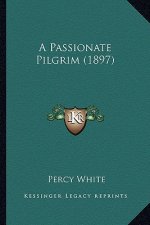 A Passionate Pilgrim (1897)