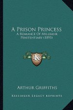A Prison Princess: A Romance of Millbank Penitentiary (1893)