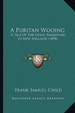 A Puritan Wooing: A Tale of the Great Awakening in New England (1898)