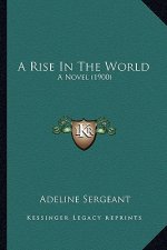 A Rise in the World: A Novel (1900)
