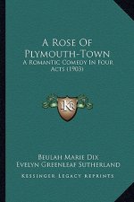 A Rose of Plymouth-Town: A Romantic Comedy in Four Acts (1903)
