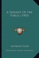 A Servant of the Public (1905)