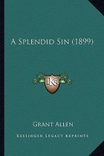 A Splendid Sin (1899)