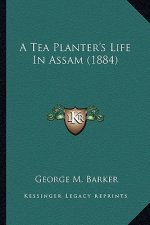 A Tea Planter's Life in Assam (1884)