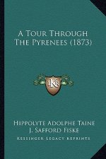 A Tour Through the Pyrenees (1873)