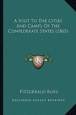 A Visit to the Cities and Camps of the Confederate States (1865)
