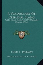 A Vocabulary of Criminal Slang: With Some Examples of Common Usages (1914)