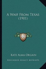 A Waif from Texas (1901)