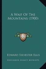 A Waif of the Mountains (1900)
