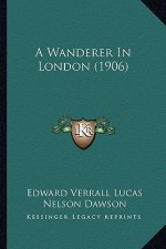 A Wanderer in London (1906)