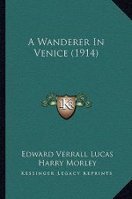 A Wanderer in Venice (1914)