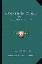 A Winter in Dublin V1-3: A Descriptive Tale (1808)