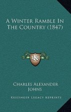 A Winter Ramble in the Country (1847)