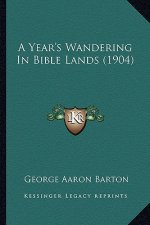 A Year's Wandering in Bible Lands (1904)