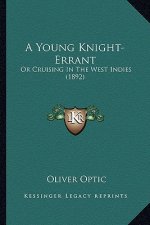 A Young Knight-Errant: Or Cruising in the West Indies (1892)