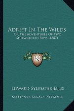 Adrift in the Wilds: Or the Adventures of Two Shipwrecked Boys (1887)