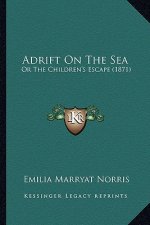 Adrift on the Sea: Or the Children's Escape (1871)
