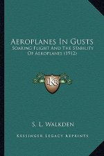 Aeroplanes in Gusts: Soaring Flight and the Stability of Aeroplanes (1912)
